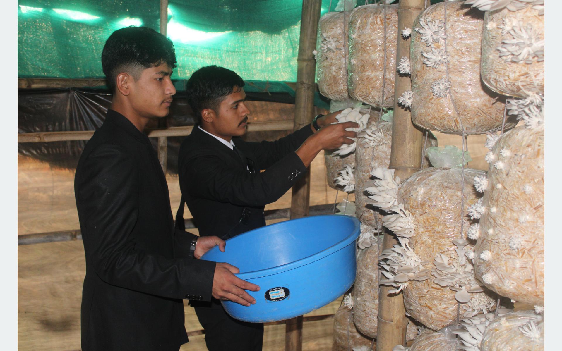 विद्यार्थीले विद्यालयमै च्याउखेती गर्न थालेपछि पारखीहरु हर्षित