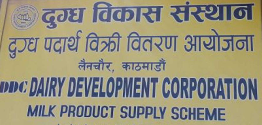 नेपाल दुग्ध विकास संस्थान कर्मचारी संघको अध्यक्षमा यादव