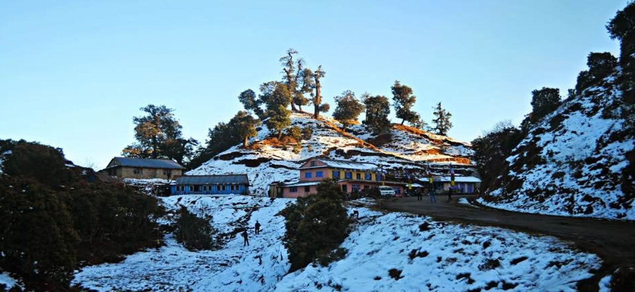 सिमभन्ज्याङ,पालुङ र टिस्टुङमा बाक्लो हिमपात