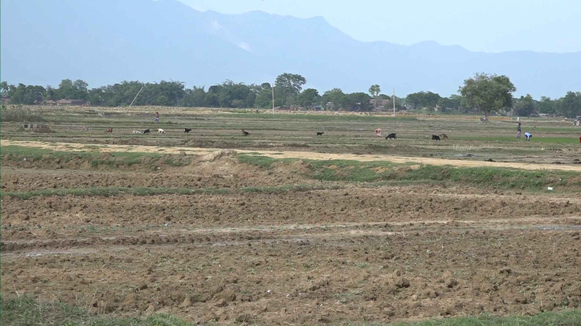 झरी पर्न थालेपछि किसान खुसी
