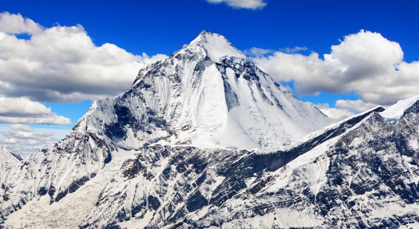 धैलागिरिको चुचुरोमा पुगे ५५० जना आरोही