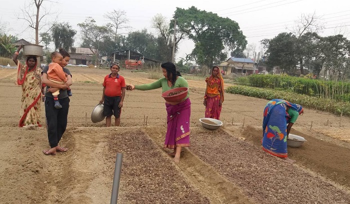 मेटलाइफ फाउन्डेसनद्वारा चितवन राष्ट्रिय निकुञ्जलाई सहयोग