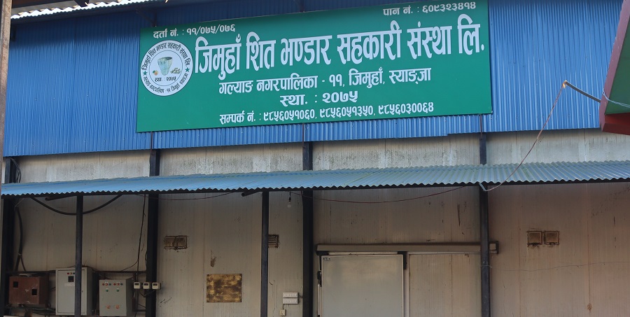 एउटै गाउँबाट साढे दुई करोडको बीउ आलु बिक्री