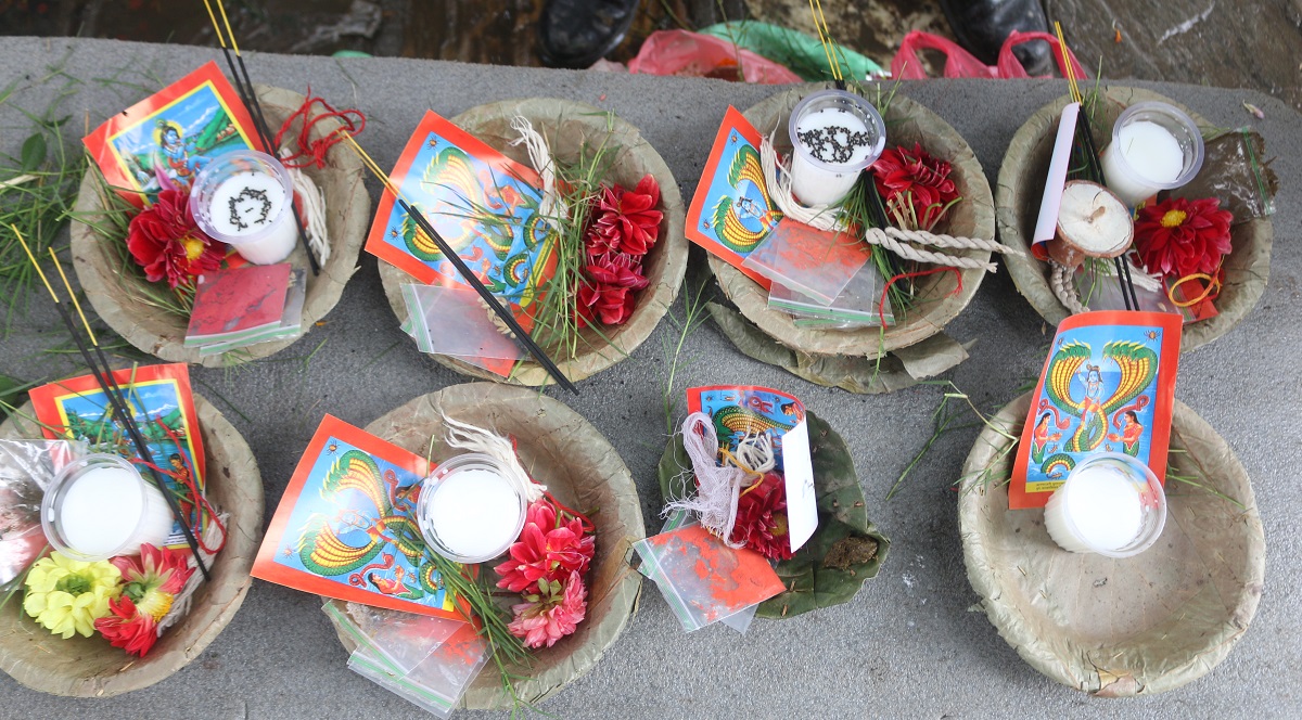यसरी मनाइयो नागपञ्चमी (फोटो फिचर)