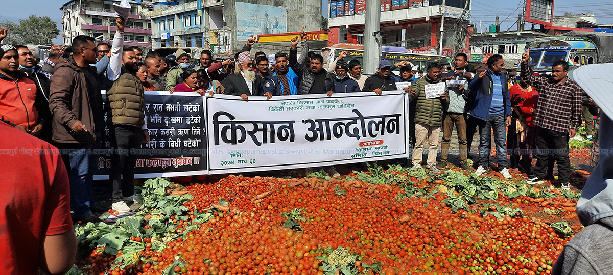 कृषि पेसामा उत्कृष्ट काम गर्ने किसान पुरस्कृत