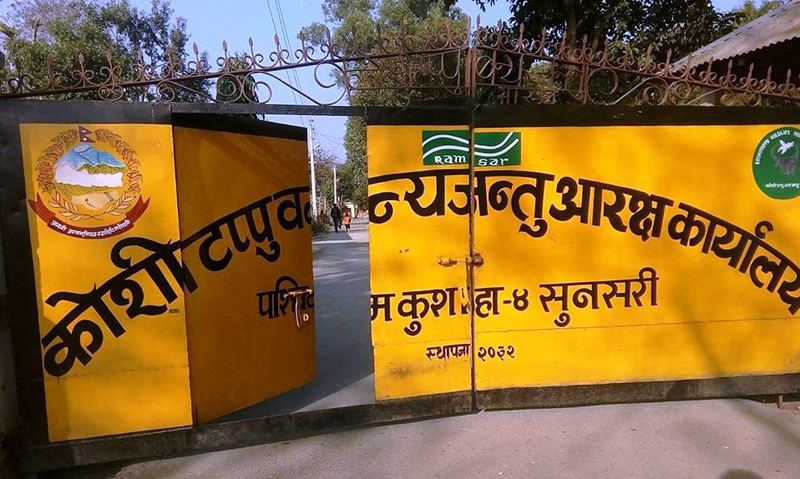 कोशीटप्पुमा पर्यटक आगमनमा ३४ प्रतिशतले कमी