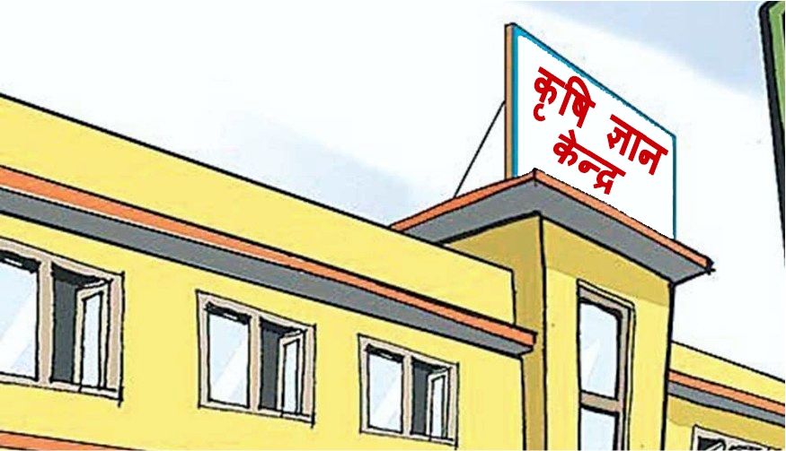 दुई लाख ५० हजारदेखि तीन लाखसम्म सहयोग दिन ३९ फर्म छनोट