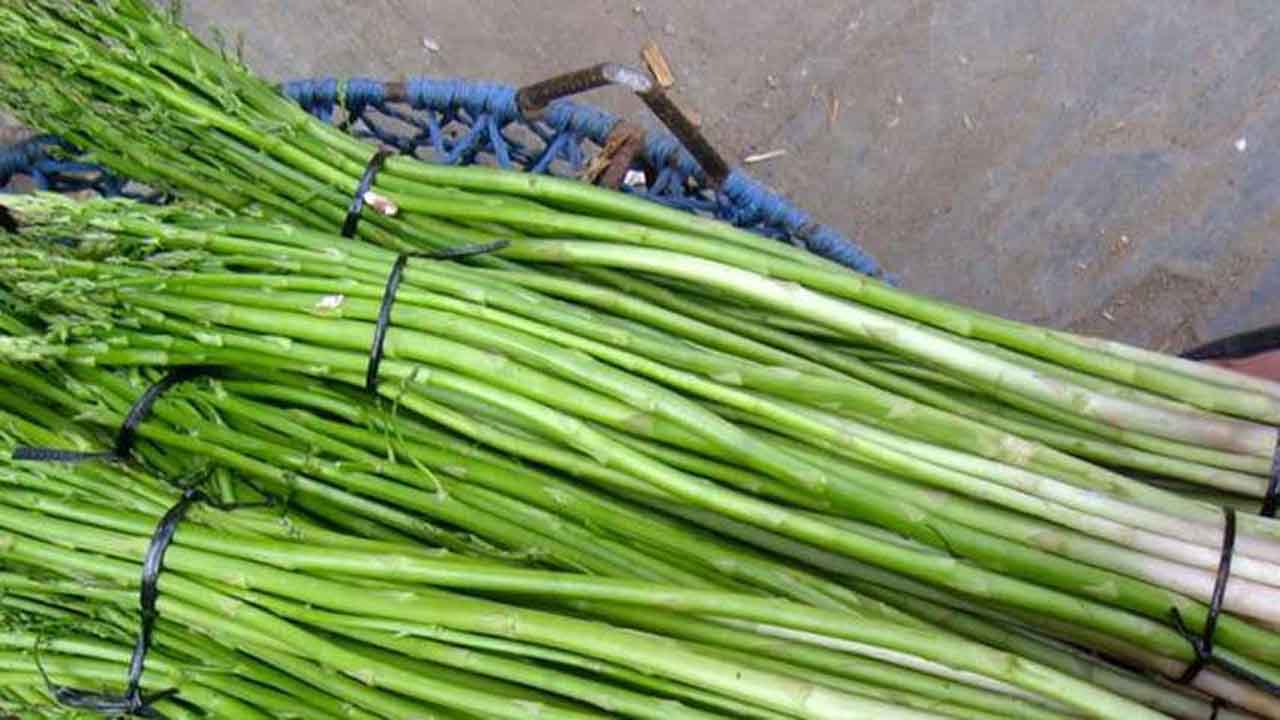 नेपालको कुरिलो भारतमा निर्यात