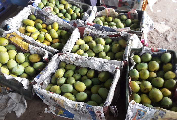 बजारमा नेपाली आँपकै एकछत्र राज