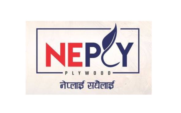 नक्कली विल बनाएर ठगी गर्ने कम्पनीको धमाधम पोल्न खुल्दै