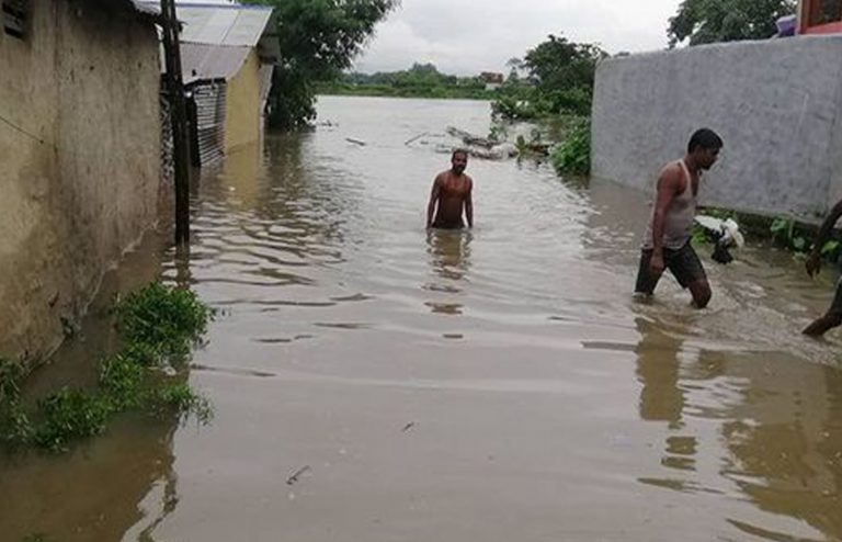 लगातार वर्षाका कारण विराटनगर डुबानमा