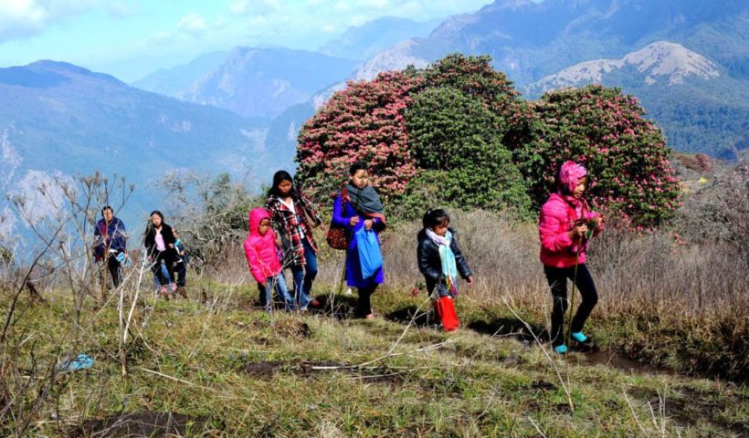 अत्यावश्यक परेकालाई मात्र गाउँ फर्काइँदै