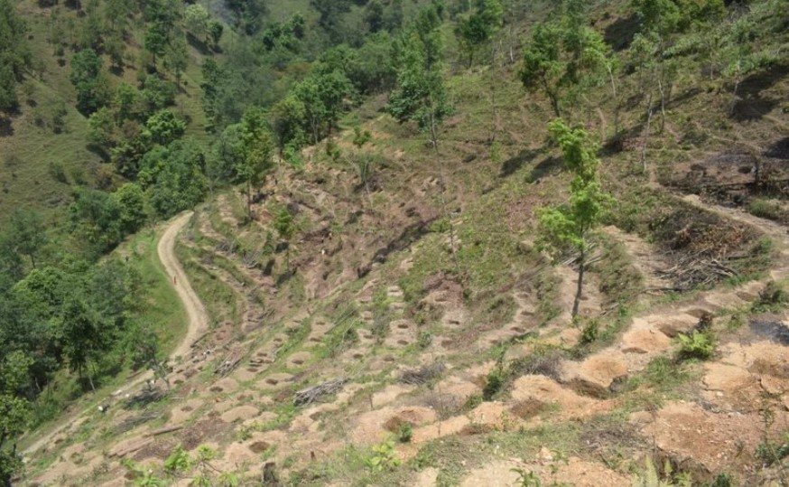 बाँझो जमिनमा खेती गर्नेलाई अनुदान दिने