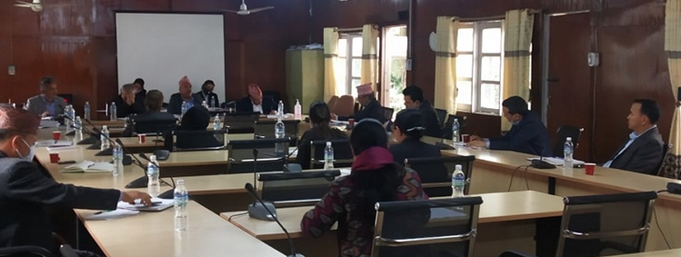 ५ करोडभन्दा माथिको कर्जा ११ खर्ब ६५ अर्ब  छः गभर्नर
