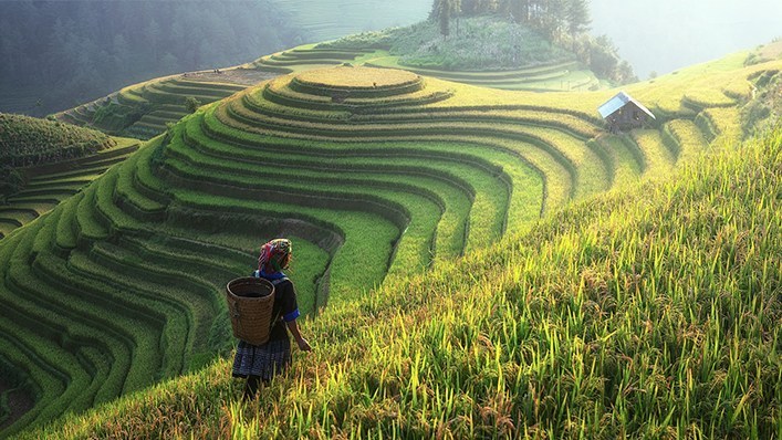 भारतमा कृषि संरचनाका लागि एक लाख करोडको प्याकेज घोषणा