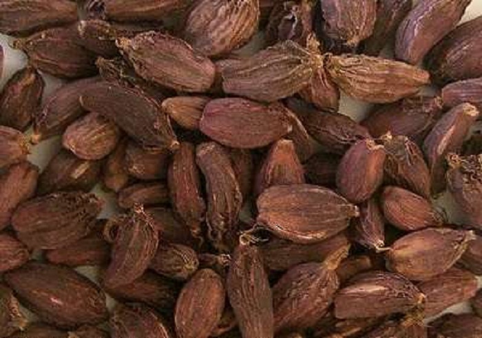 ताप्लेजुङका किसानले घर भित्र्याउन थाले अलैँची