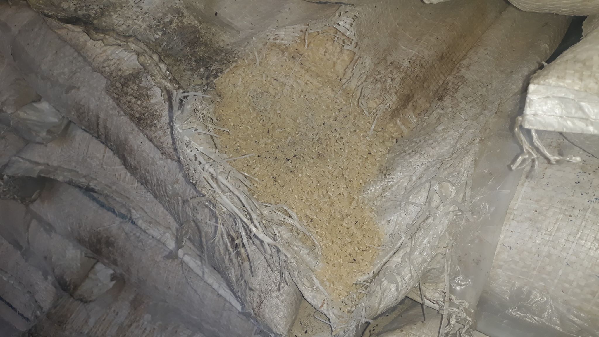 होसियार ! तपाई पनि पर्नुहोला है, झुक्काएर कुहिएको चामल बिक्री गर्ने तयारीमा छ खाद्य कम्पनी