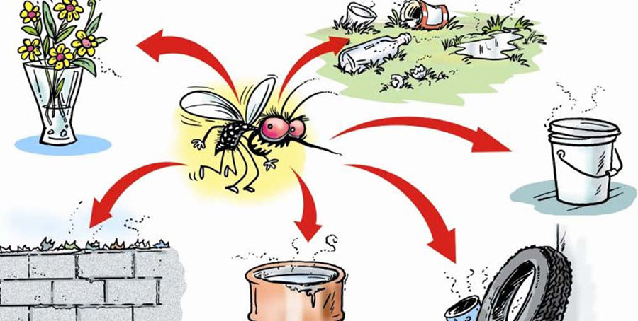 'डेंगुले ६ जनाको मृत्यु, ५ हजार व्यक्ति संक्रमित, आपत्कालीन अवस्था घोषणा गर्नु पर्दैन'