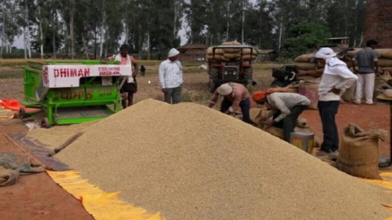सरकारले ७६ करोडको धान खरिद गर्दै
