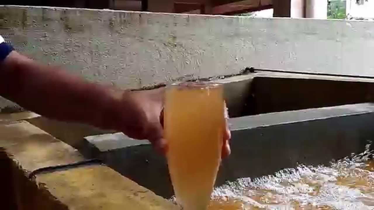 केयूकेएलले वितरण गर्ने पानीमै भेटियो कोलीफर्म