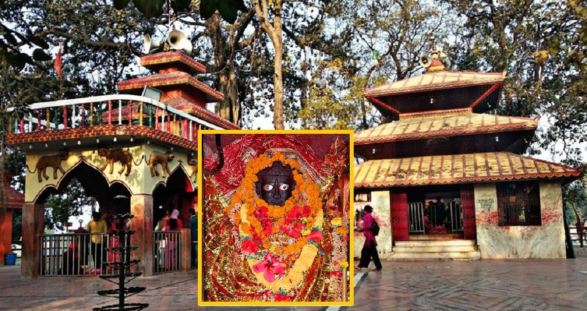 महागढीमाईमा १७ लाख भेटी संकलन