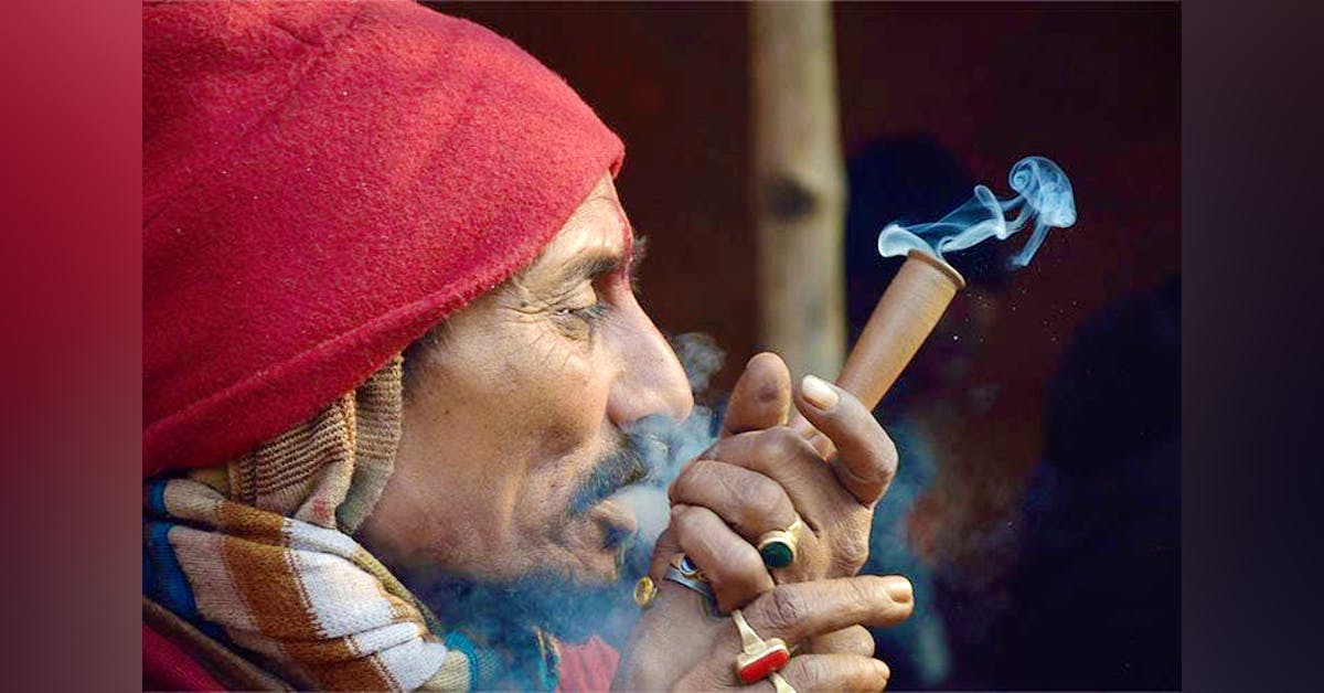 गाँजा खुल्ला गर्न सत्तारुढ सांसदको माग, यस्तो छ उनीहरुको तर्क