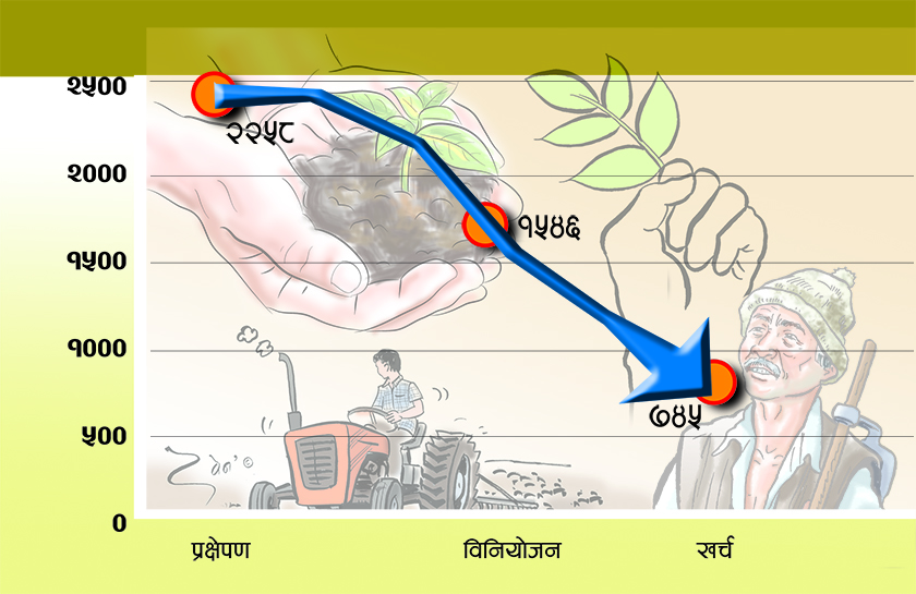 महत्वाकांक्षी कार्यक्रम, निराशाजनक कार्यान्वयन