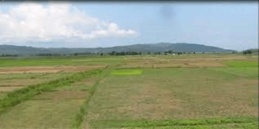 उपयोगविहीन भो : २३ वर्षदेखि १३ बिघा जग्गा