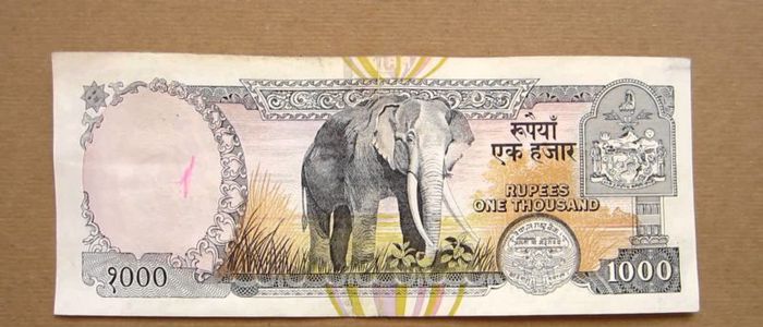 अब एक हजारको नोटमा दुई वटा हात्ती हुने