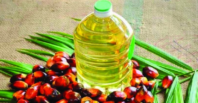 २७ प्रतिशतले बढ्याे निर्यात, पाम तेलको योगदान मुख्य