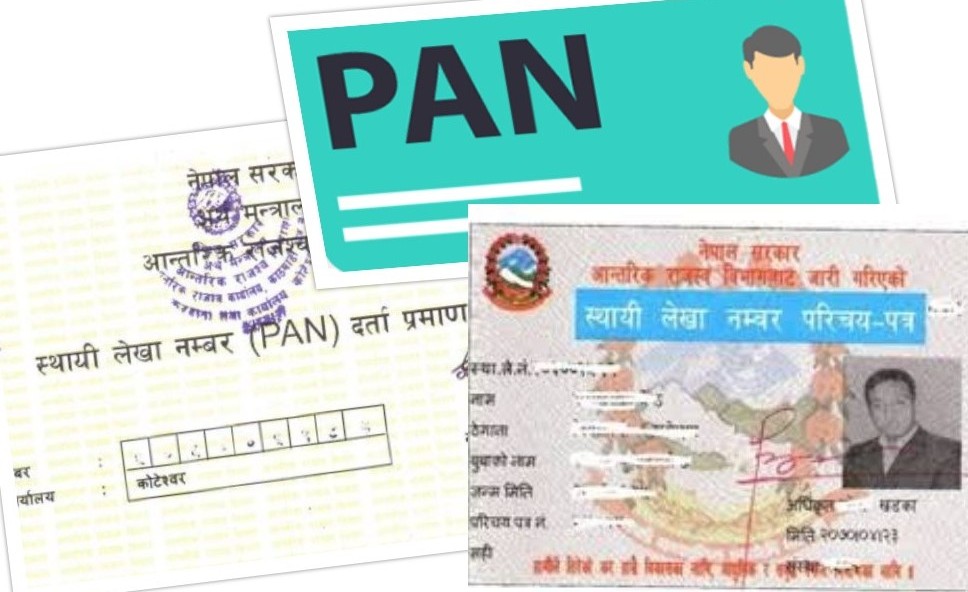 तीन महिनामा ६ लाखले लिए प्यान