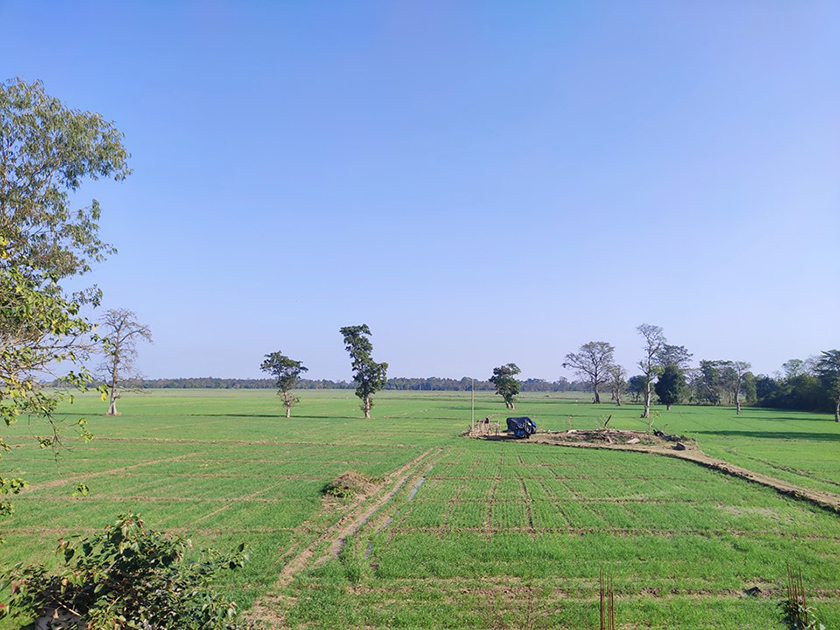 गुठीको जग्गा फिर्ता हुने