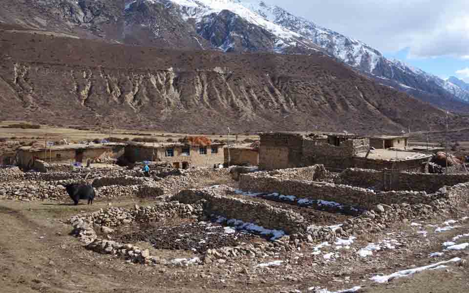 रोजगारकालागि चीन जाँन्छन हुम्लाका युवा