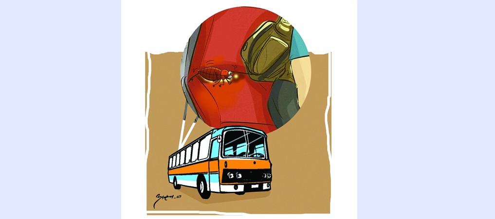 उपत्यकाका सार्वजनिक बसमा उडुस आतंक
