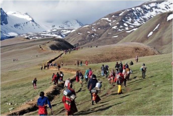 यार्सागुम्बा टिप्न नपाइने