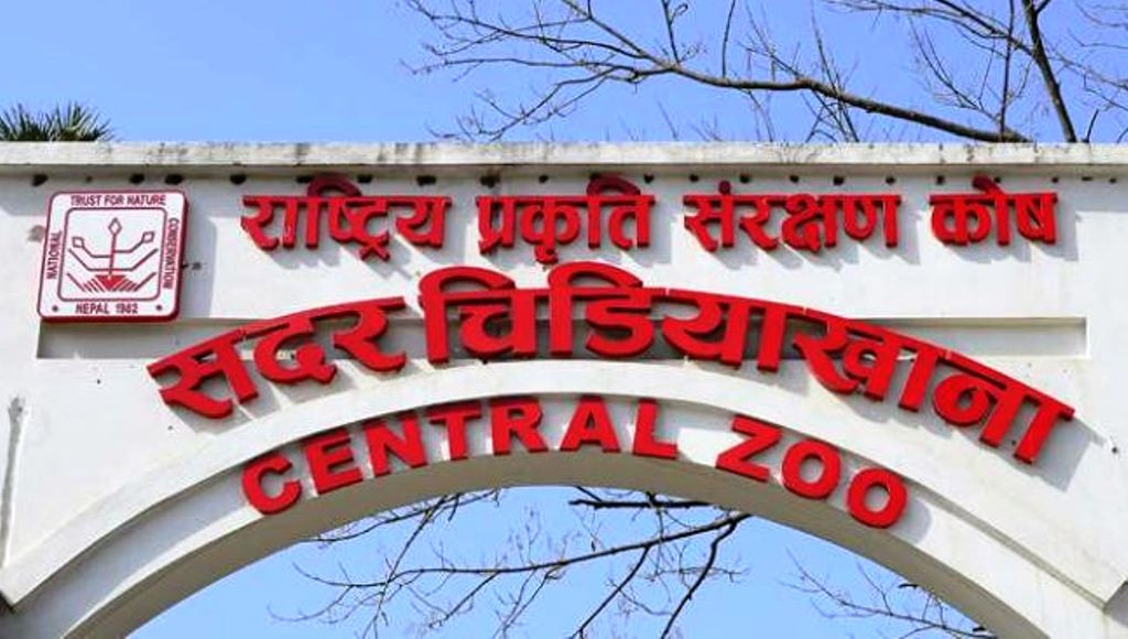 चिडियाखाना सूर्य विनायक सार्ने विषयमा यसो भन्छन् ललिपुरका मेयर महर्जन