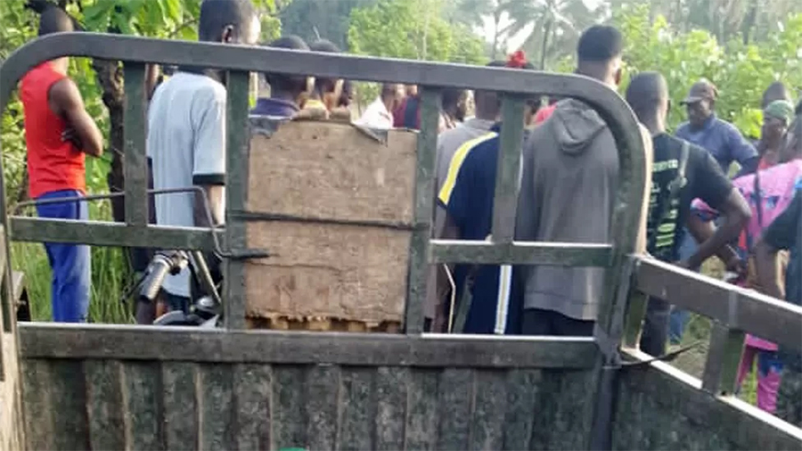 गोठालाहरुले आक्रमण गर्दा ५० जनाको मृत्यु