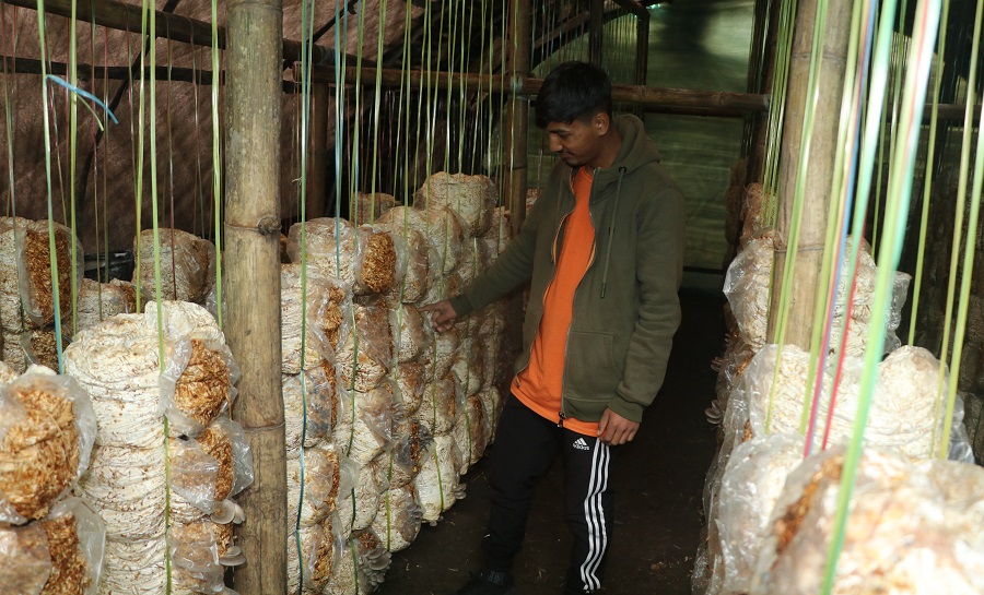 रोग लाग्दा समुदायको सहारा बन्यो ‘जीवन वरदान’