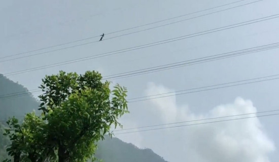 विद्युतको प्रसारण लाइनमा हिँड्ने व्यक्तिको सकुसल उद्धार