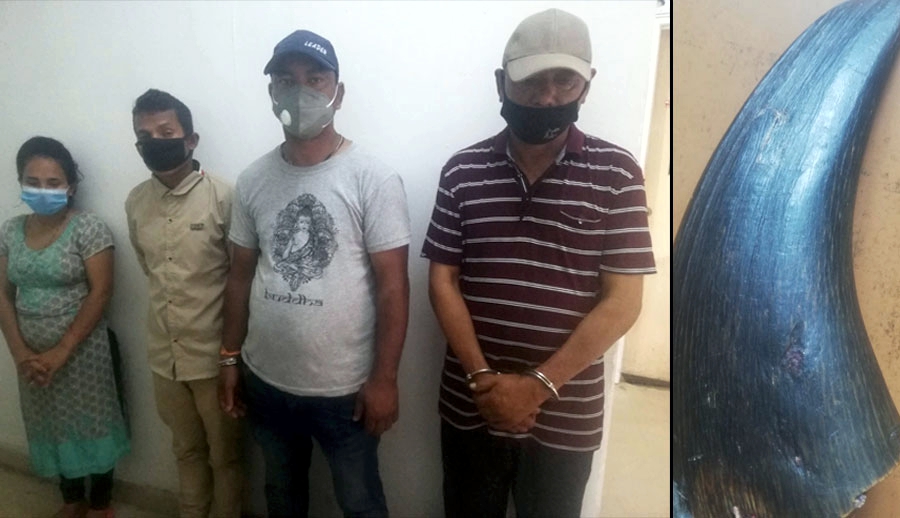 सिनामंगलबाट गैंडाको खागसहित ४ जना पक्राउ