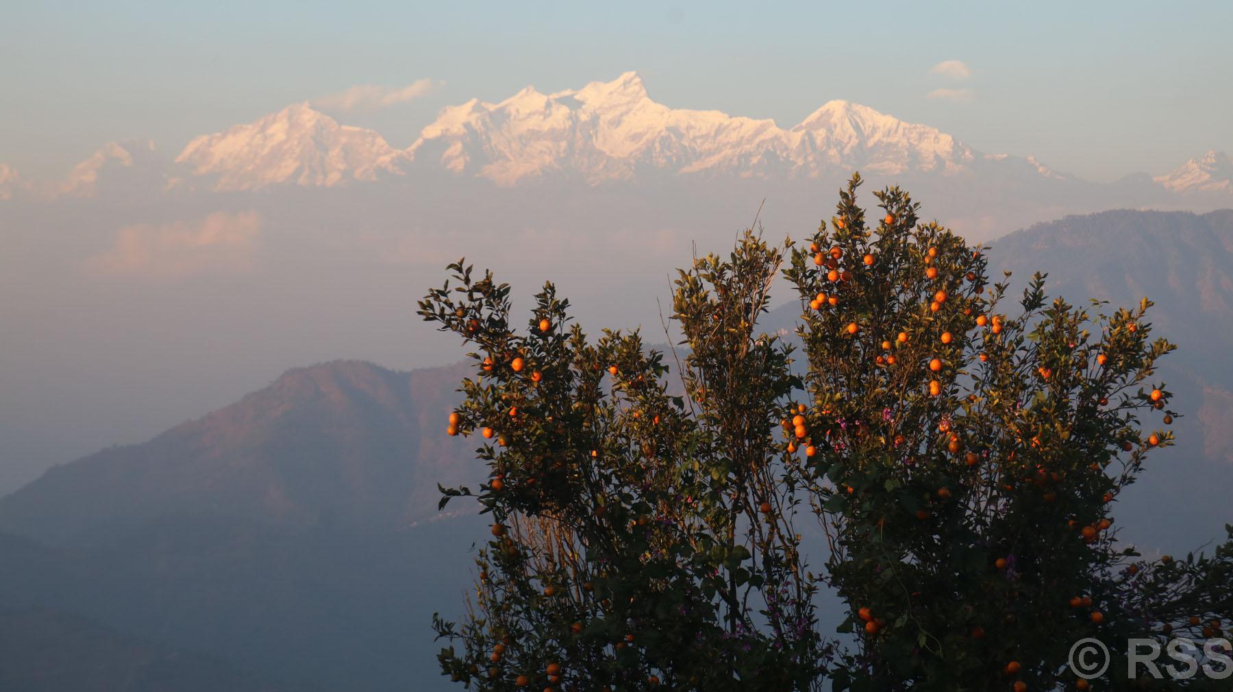 यस्तो रमाइलो पर्यटकीय गन्तव्य पामडाँडा