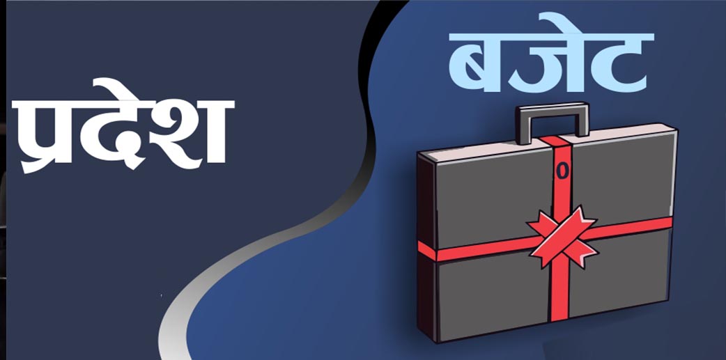 आगामी आवको लागि कुन प्रदेशले कत्रो ल्याए बजेट ?