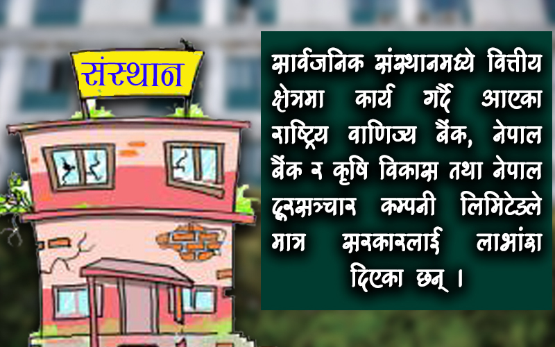 १४  सार्वजनिक संस्थान नाफा आर्जन गर्न सफल  (पूर्व विवरण सहित)
