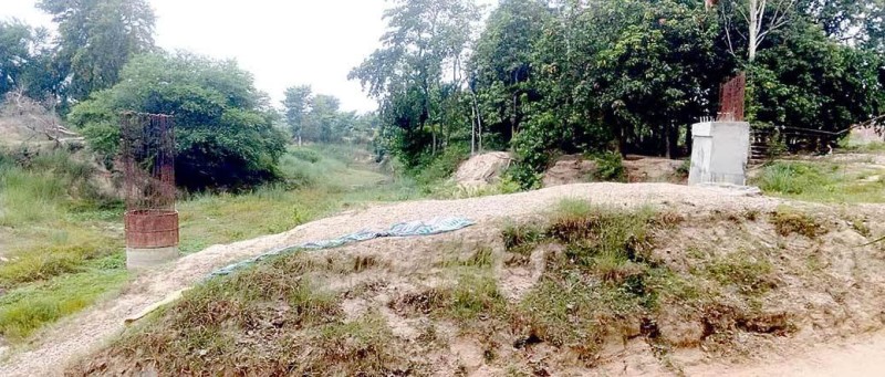 रोकिदियो भारतले पुल निर्माण कार्य