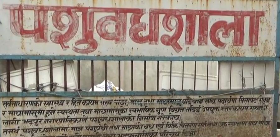 ३० करोडको लागतमा पशुवधशाला निर्माण