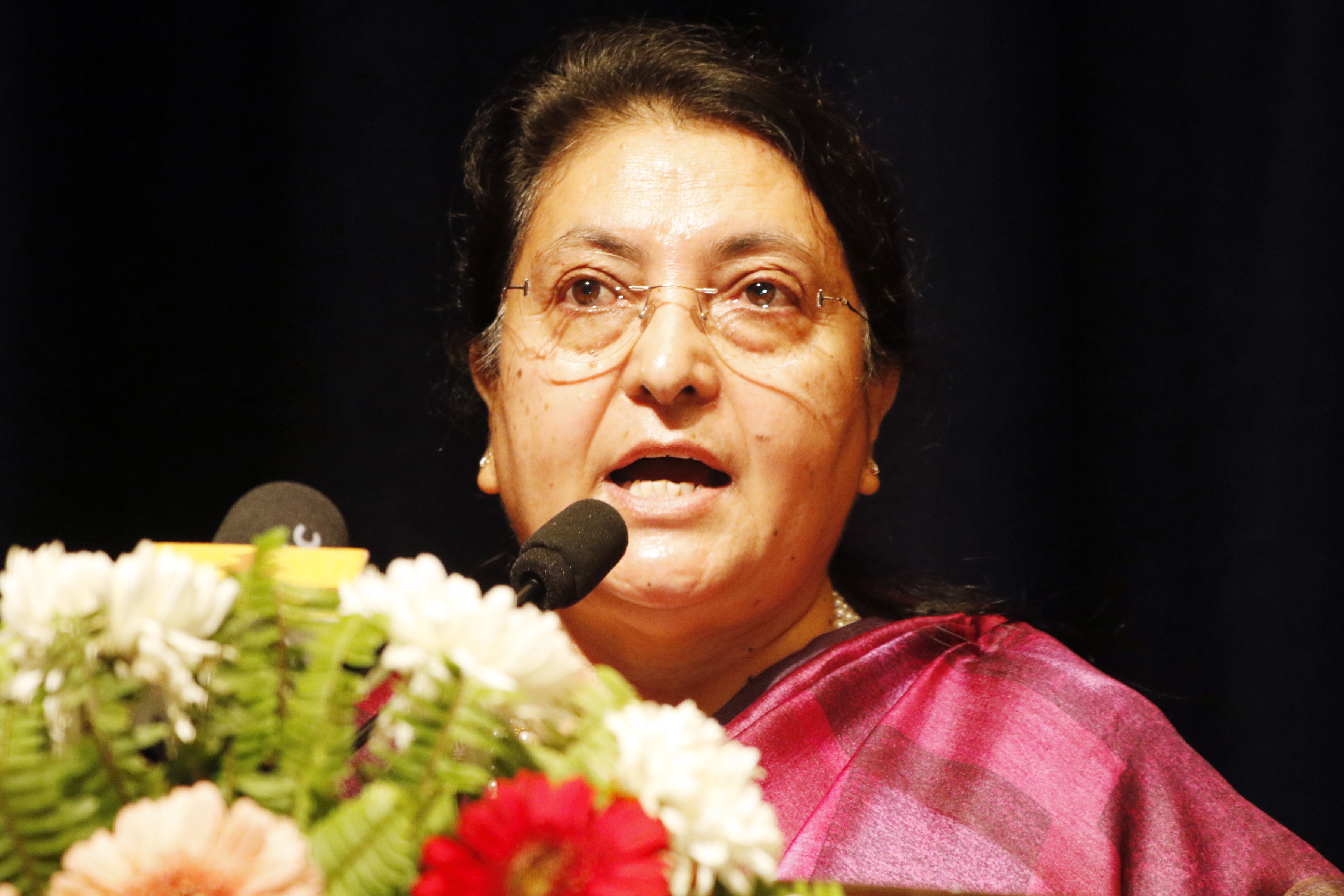 समानतामा आधारित समाजवादउन्मुख अर्थतन्त्र निर्माणको आवश्यकताः राष्ट्रपति