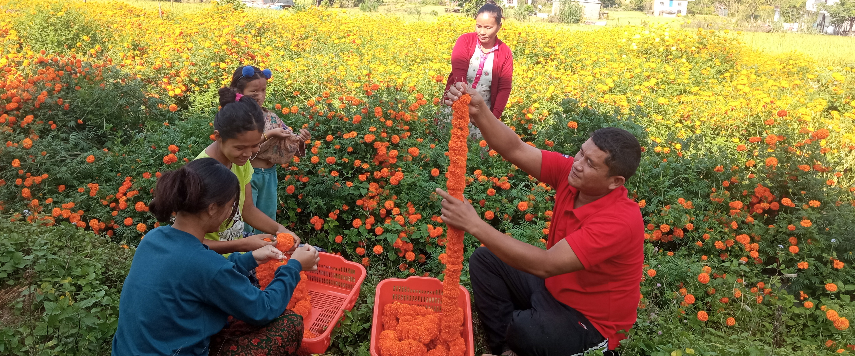 यस पटकको तिहारको मालाको ९० प्रतिशत स्वदेशी उत्पादनले धान्यो