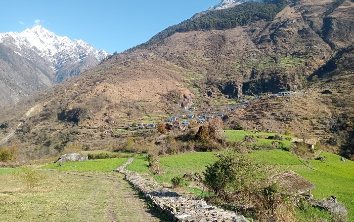 साइपालमा खाद्य संकट, सिंहदरबार नधाए पुग्दैन चामल