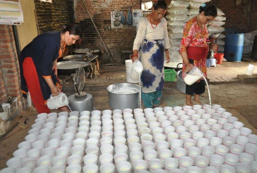 धान दिवसमा बिक्यो ७ करोडको दही