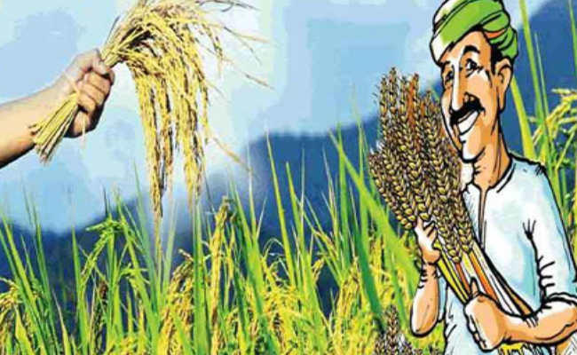 अब जिल्लामा नै कृषि र पशुपक्षी सेवा